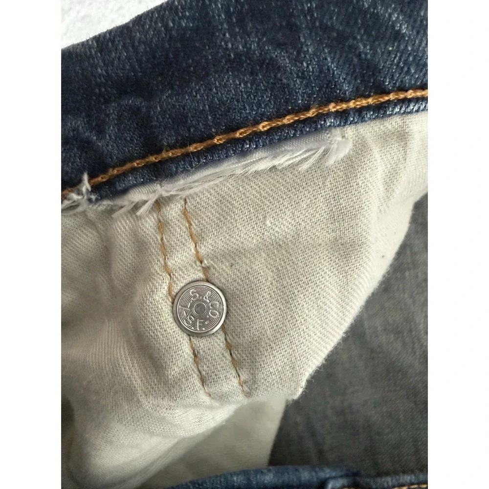 Levis levis 559